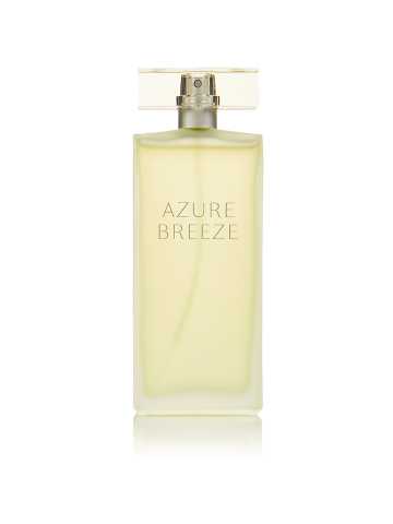 Fogg Women Scent Beautiful Secret Eau De Parfum 100 Ml