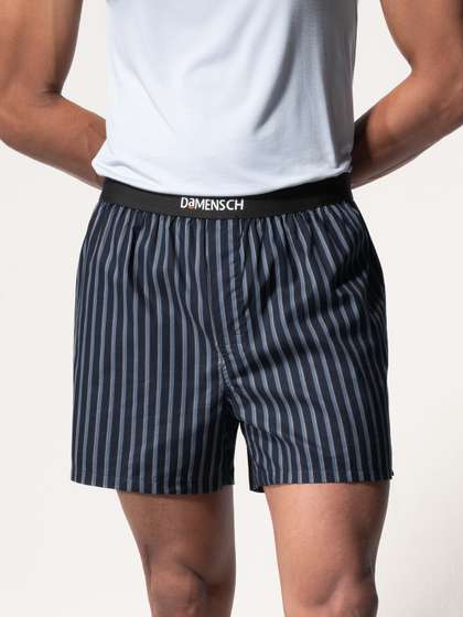 DAMENSCH Men Striped
                        Ultra-Light Cotton Regular Fit Inner Boxer