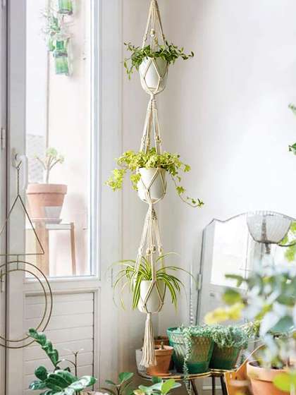 Homesake Set Of 2 Beige Macrame Plant Hangers Without Pot