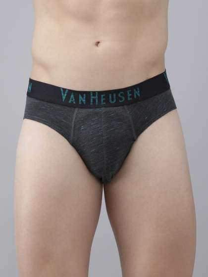 Van Heusen Innerwear
                        Men Textured Superior Comfort Soft Touch Brief