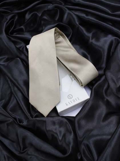 Kavove Men Grey Solid
                      Broad Tie