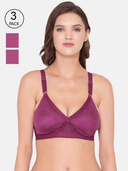 Souminie Pack of 3
                          Purple Seamless Plus Size Bra