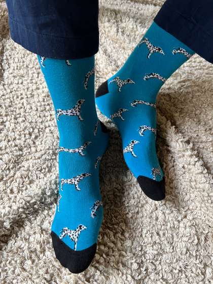 Mint & Oak Men Blue
                    Patterned Above Ankle Length Socks