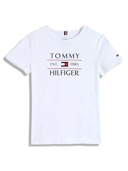 Tommy Hilfiger Boys Typography Printed Applique T-shirt