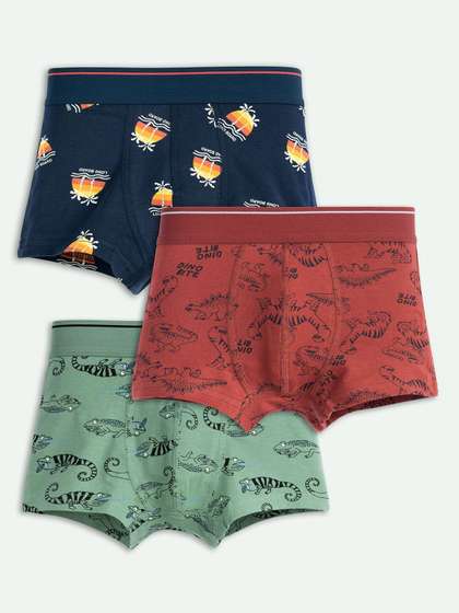 ariel Boys Pack Of 3
                    Printed Trunks AR-BT-P3-S1-lizdinoaopZ
