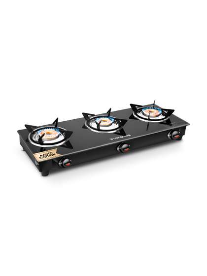 Longway Auto-Ignition Gas Stove