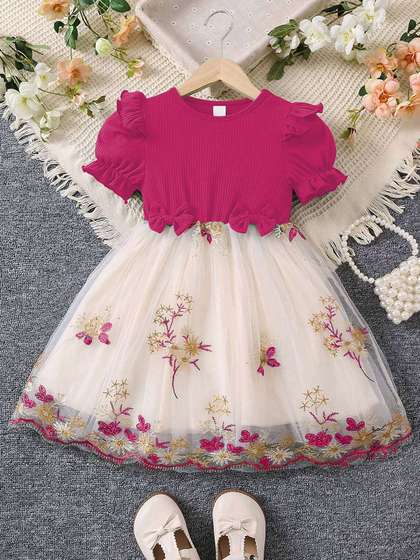BAESD Girls Embroidered
                    Puff Sleeve Fit & Flare Dress