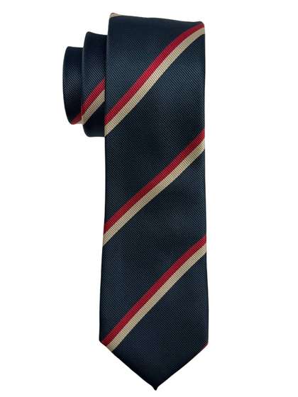 The Tie Hub Men
                      Striped Skinny Tie