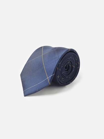 Allen Solly Men Checked
                    Skinny Tie