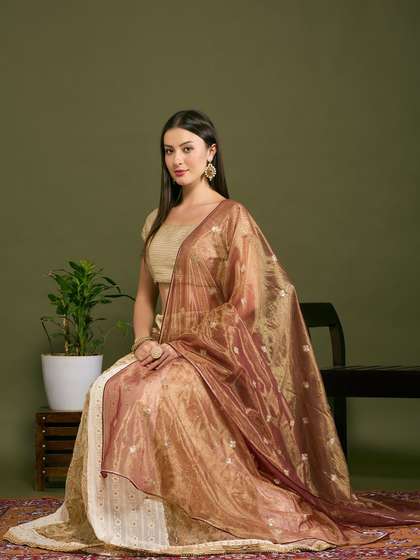 Dupatta Bazaar Floral
                      Embroidered Sequinned Dupatta
