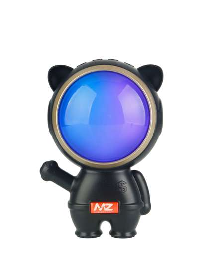 MZ M54VP High Bass
                        Portable Bluetooth Speaker