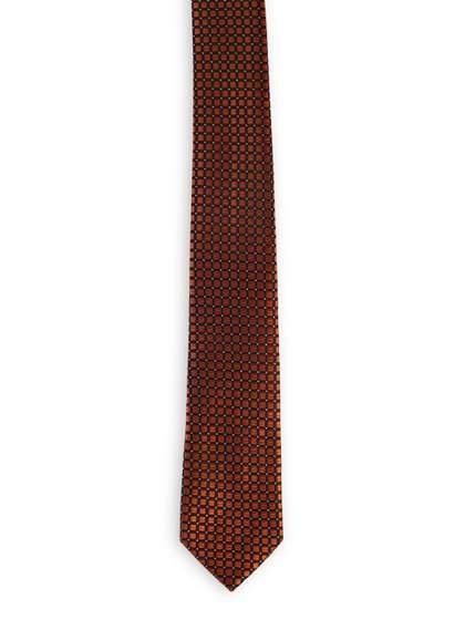 ALZ Men Printed Skinny
                      Tie