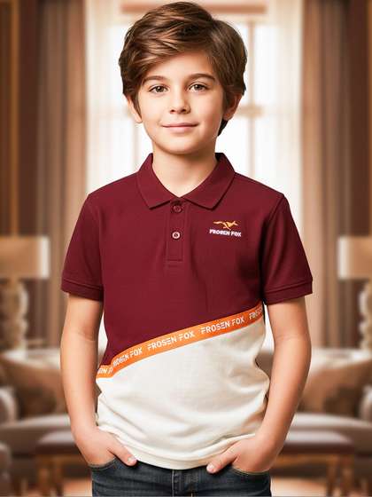 FROSEN FOX Boys Cotton
                    Tshirts