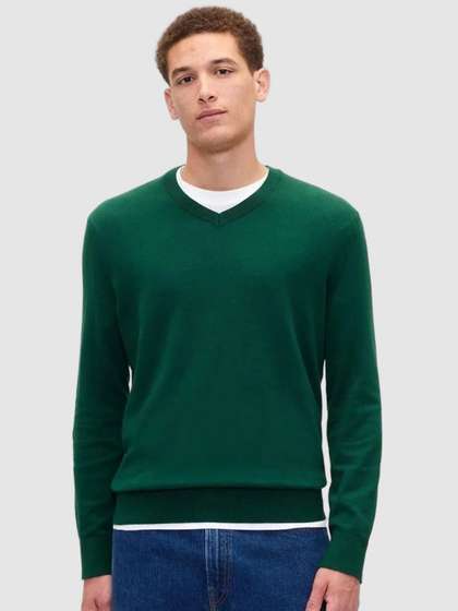 GAP Men V-Neck
                      Pullover Sweater