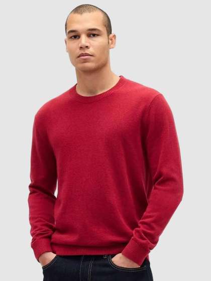 GAP Men Solid Crew
                          Neck Pullover Sweater