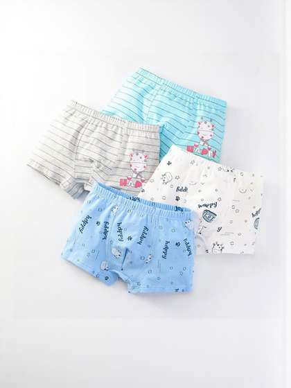 ASJAR Boys Pack of 2
                      Soft Cotton Boy Shorts Briefs
