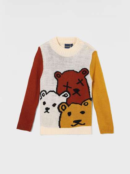 Juniors by Lifestyle
                    Boys Animal Printed Round Neck Long Sleeve Pullover
