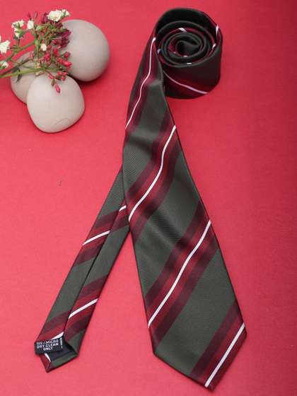 Alvaro Castagnino Men
                    Striped Skinny Tie