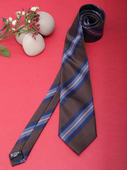 Alvaro Castagnino Men
                      Striped Skinny Tie