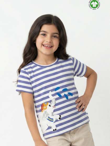 Pranava Gold Horizontal
                    Stripes Round Neck Short Sleeves Top