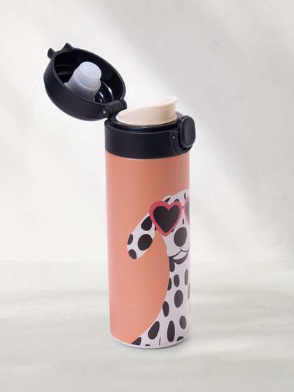 Pantaloons Junior
                    Multicoloured Single Metal Water Bottle