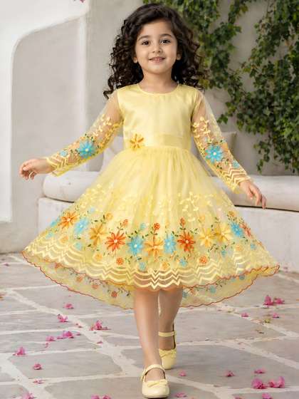 BAESD Embroidered Net
                    Fit & Flare Dress