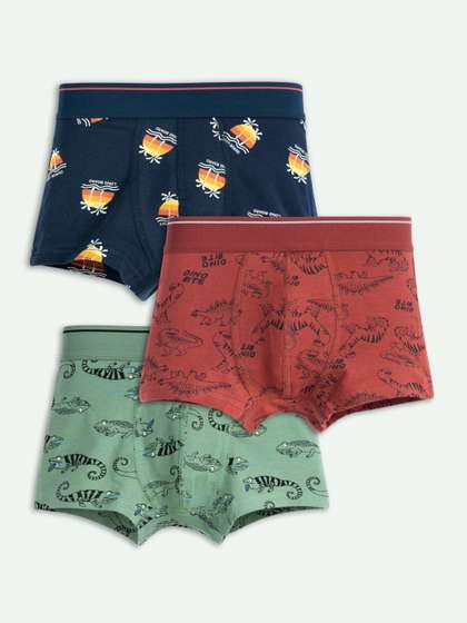 ariel Boys Pack of 3
                    Cotton Blend Assorted Printed Trunks