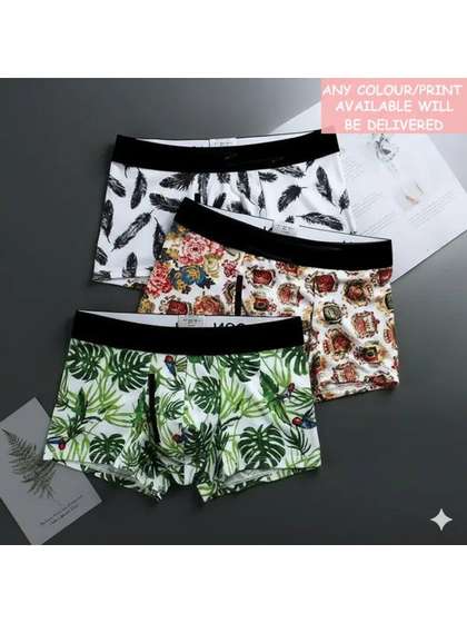 CAVENDERS Boys Pack of 3
                    Printed Assorted Basic Briefs