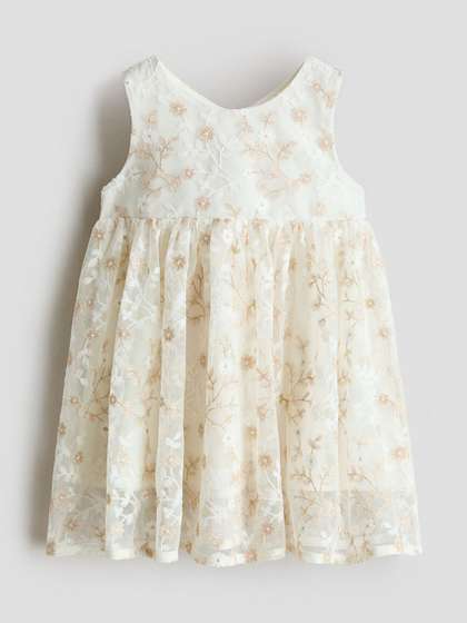 H&M Embroidered
                      Tulle Dress