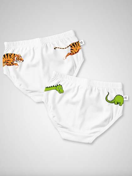 DOODLEBERRY Boys Pack of
                    2 Printed Anti Microbial Cotton Briefs