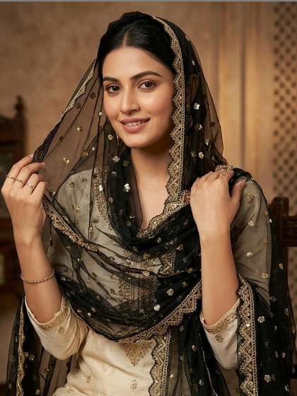 Navti Creations
                        Embroidered Dupatta