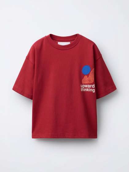 Alan Jones Boys Cotton
                    Tshirts