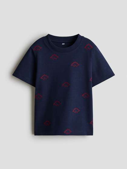 H&M Boys Graphic
                    Embroidery-Detail T-Shirt