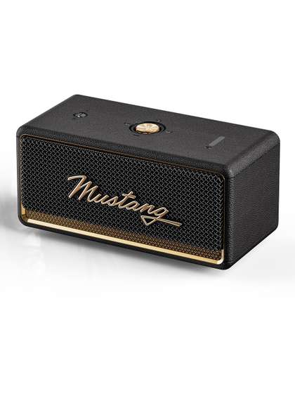 GOBOULT Mustang GT 20,
                      Dual Drivers, RGB LED, Bass Radiator (Turbo black,
                      Stereo Channel)