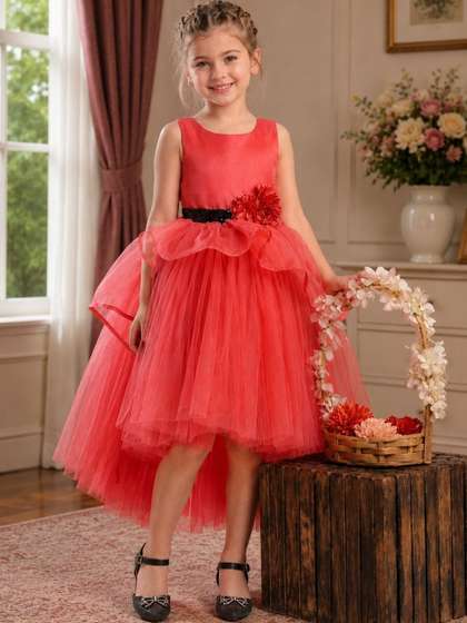Dripteen Applique Net
                      Fit & Flare Dress