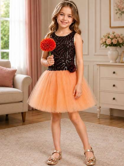 Dripteen Applique Net
                    Fit & Flare Dress