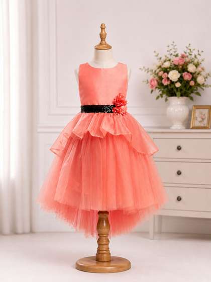 Dripteen Applique Net
                    Fit & Flare Dress