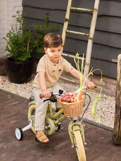 Gini And Jony Infants
                    Boys Cotton Trouser