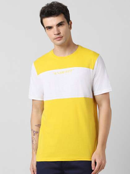 Pantaloons Colourblocked Regular Fit Round Neck Cotton T-shirt