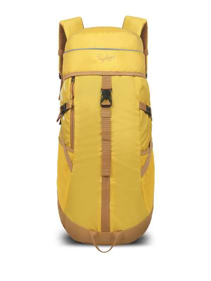 Skybags Padded
                        Backpack