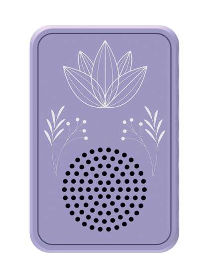 Saregama Carvaan
                          Wellness Plug Play Music Player Speaker