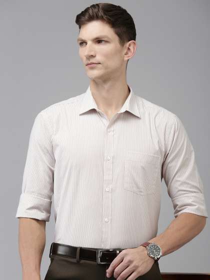 Park Avenue Slim Fit
                        Opaque Striped Formal Shirt