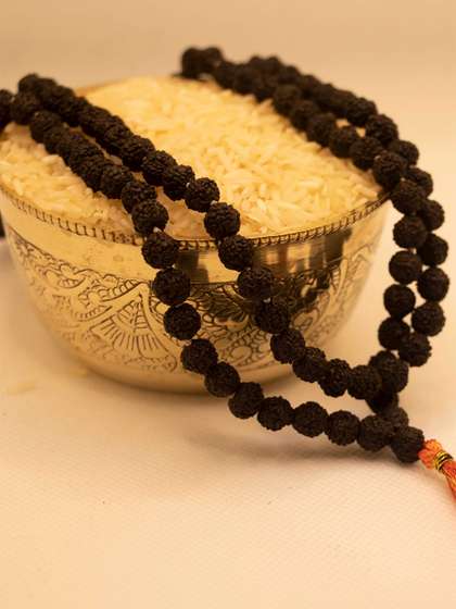 Japam Black Rudraksha
                    Mala - 108+1 Beads