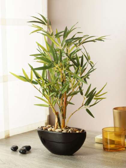 Artificial Flowers And Plants Online Myntra
