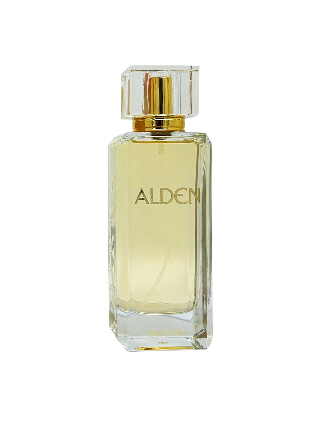 Men Alden EDP - 105 ml