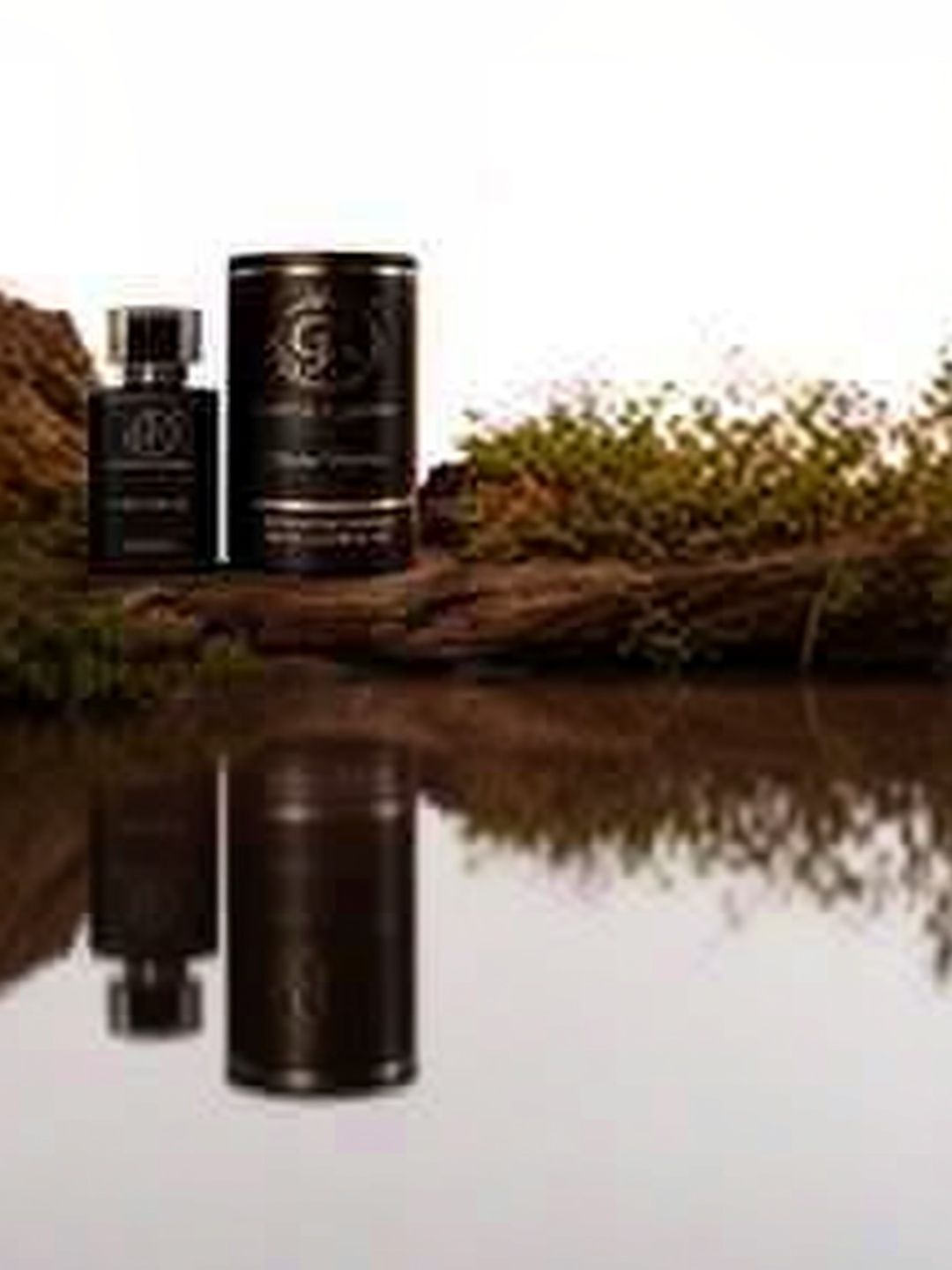 Alpha Victory EDP