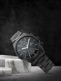 Buy Titan Men Silver Toned Dial Watch NH1639SL03C Watches for Men 1363851 Myntra