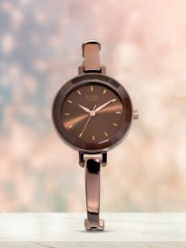 Titan watch 2486saa discount