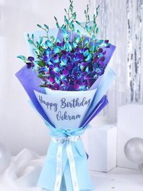 ◆Hydrangea4936◆ Hydrangea Red 18-36 Inches - Hydrangea - Hydrangea Red - Flowering