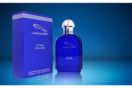 Buy JAGUAR For Men Evolution Eau De Toilette 100 Ml - Perfume And Body Mist  for Men 1677396 | Myntra